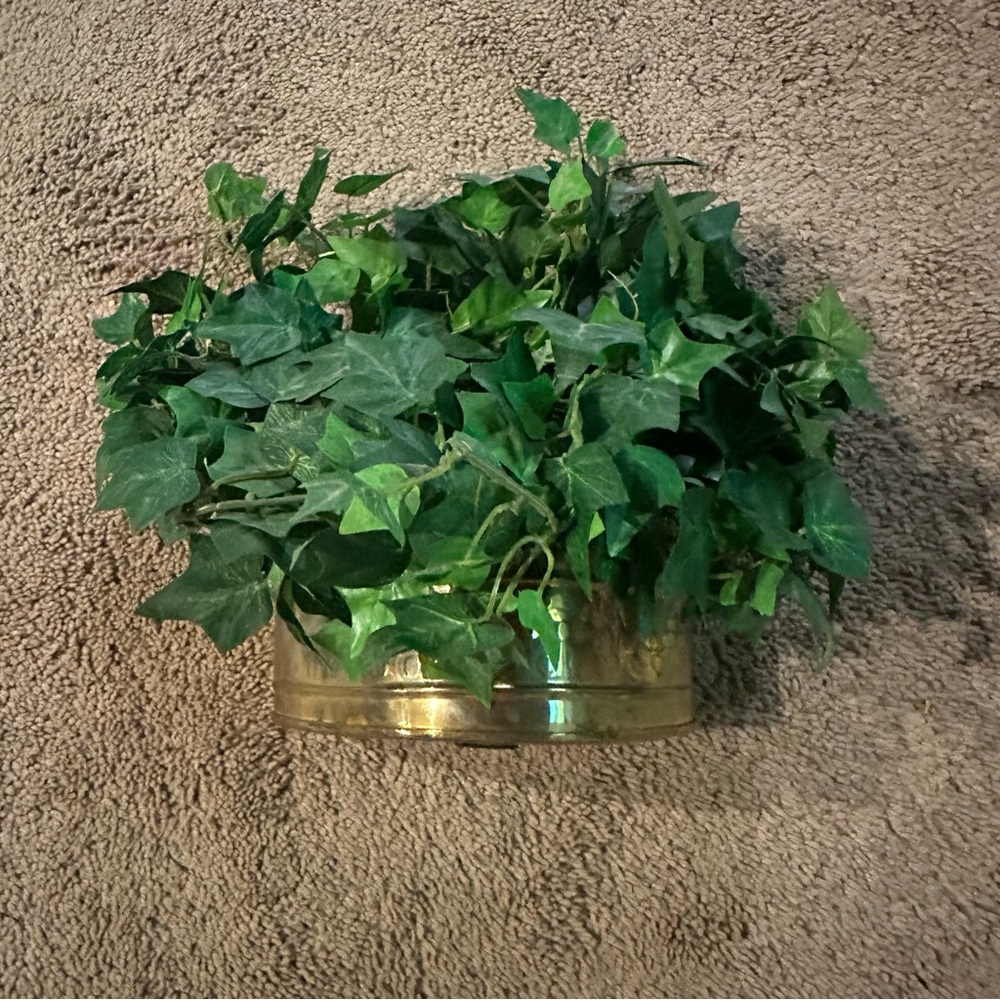 Vtg | Hanging Brass Wall Planter